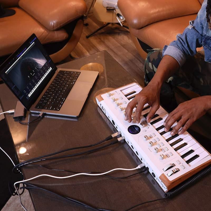 Arturia ASTROLAB 37 (アートリア)(アストロラボ)(ステージキーボード