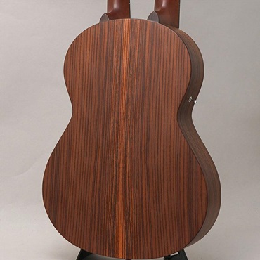 K.Yairi LTD WX-22E Custom ANV Kヤイリ 画像1