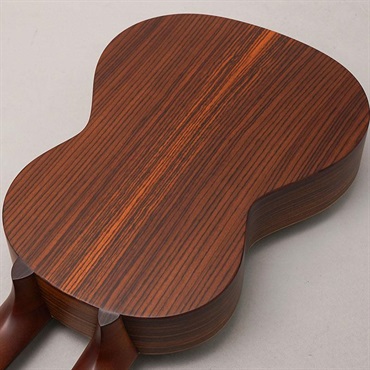 K.Yairi LTD WX-22E Custom ANV Kヤイリ 画像5