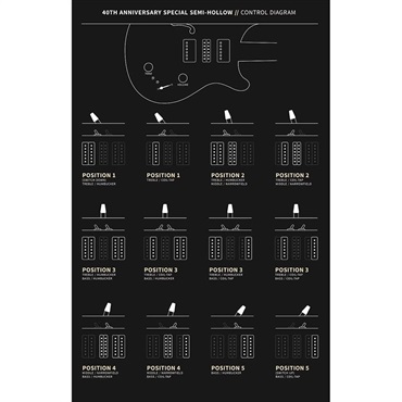 P.R.S. 【「THE IKEBE PRS VAULT」オープン記念キャンペーン】 40th Anniversary Special Semi-Hollow Limited Edition (Faded Whale Blue) [SN.0413548] 【2025年生産品】 画像10
