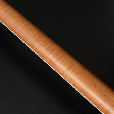 Bacchus Global Series TACTICS-ASH BPM (WBD) 画像6