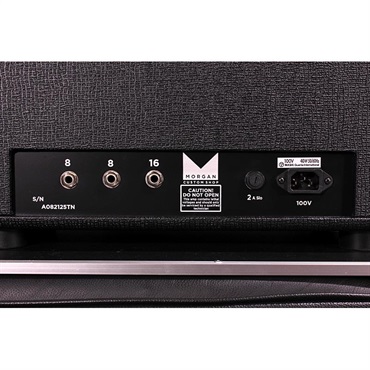 Morgan Amplification Custom Shop ML40 HEAD BLACK 画像5