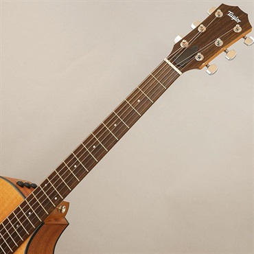 TAYLOR 112ce テイラー 画像8