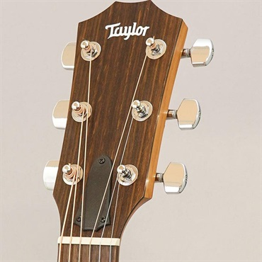 TAYLOR 112ce テイラー 画像10