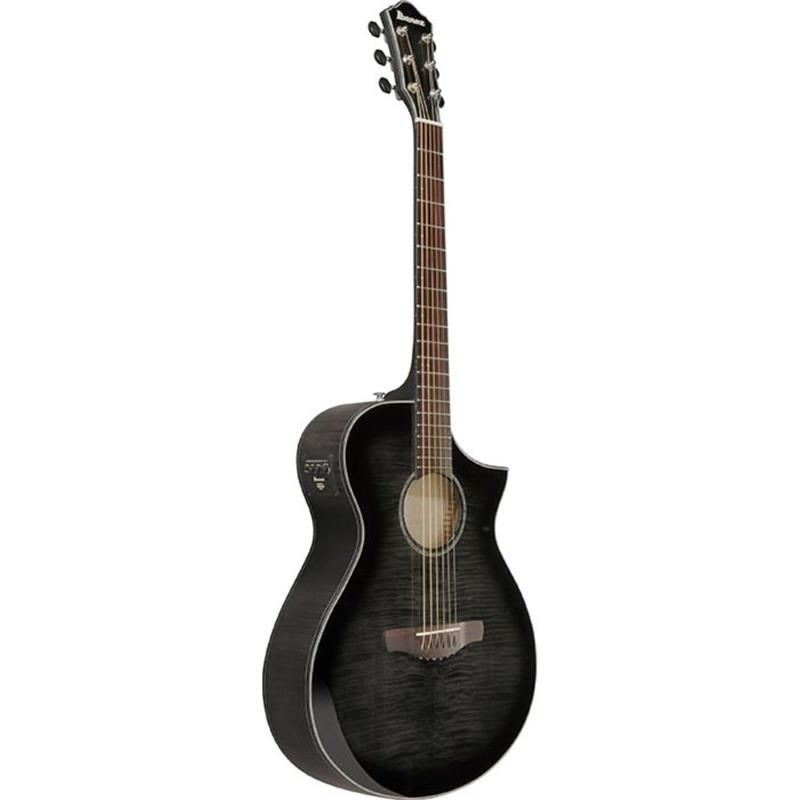 Ibanez 【新楽器応援セール】【本数限定特価】AEWC400-TKS