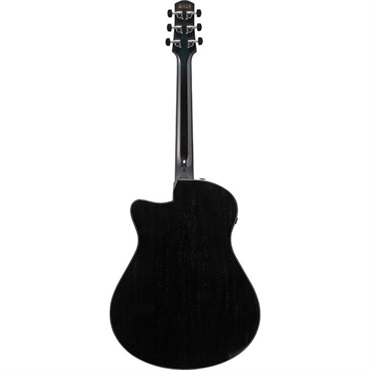 Ibanez 【秋のSUPER SALE】【廃盤特価】AAM340CE-RUB アイバニーズ 画像2