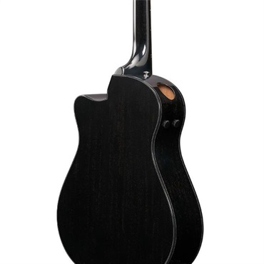 Ibanez 【秋のSUPER SALE】【廃盤特価】AAM340CE-RUB アイバニーズ 画像3