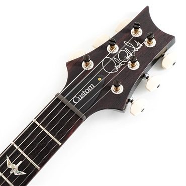 P.R.S. Custom 24 Piezo 10 Top (Faded Whale Blue) SN.0407447 画像6