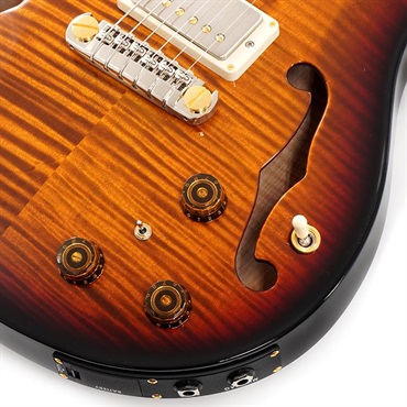 P.R.S. Hollowbody II Piezo 10 Top (Custom Color) SN.0392819 画像4