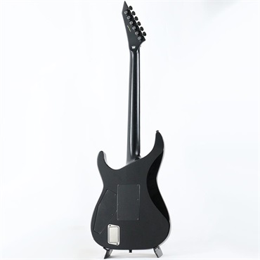 E-II HORIZON FR-II (Tiger Eye Sunburst) [SN.ES2770253] 画像2