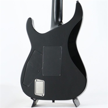 E-II HORIZON FR-II (Tiger Eye Sunburst) [SN.ES2770253] 画像3