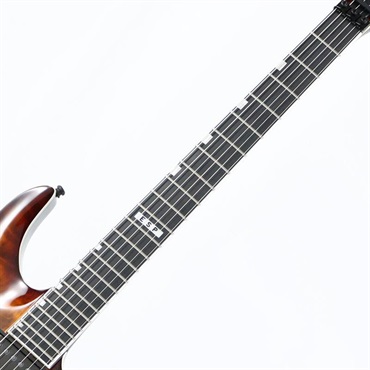E-II HORIZON FR-II (Tiger Eye Sunburst) [SN.ES2770253] ｜イケベ