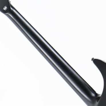 E-II HORIZON FR-II (Tiger Eye Sunburst) [SN.ES2770253] 画像6