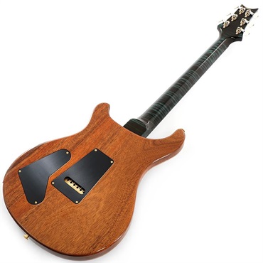 P.R.S. Ikebe 50th Anniversary Wood Library Special Semi-Hollow (Teal) SN.0402031 画像2