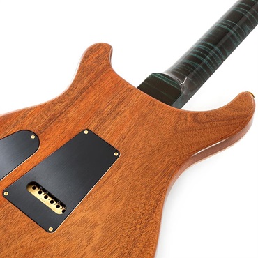 P.R.S. Ikebe 50th Anniversary Wood Library Special Semi-Hollow (Teal) SN.0402031 画像5