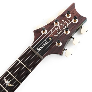 P.R.S. Ikebe 50th Anniversary Wood Library Special Semi-Hollow (Teal) SN.0402031 画像6