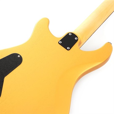 P.R.S. SE CE 24 Standard Stoptail Satin (Metallic Gold) 画像5