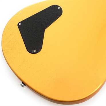 P.R.S. SE CE 24 Standard Stoptail Satin (Metallic Gold) 画像7