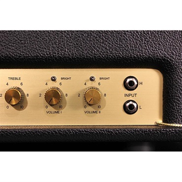 FRIEDMAN PLEX HEAD [Super Bass Mod] 画像5