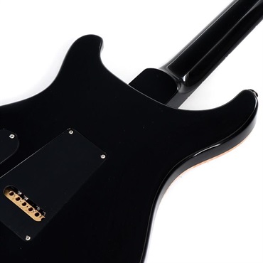 P.R.S. 【「THE IKEBE PRS VAULT」オープン記念キャンペーン】 【Paul Reed Smith氏サインイン入りバックプレート付属！】 Special Semi-Hollow (Gray Black) [SN. 0394858] 【2024年生産品】 画像5