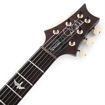 P.R.S. 【「THE IKEBE PRS VAULT」オープン記念キャンペーン】 【Paul Reed Smith氏サインイン入りバックプレート付属！】 Special Semi-Hollow (Gray Black) [SN. 0394858] 【2024年生産品】 画像6