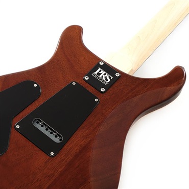 P.R.S. CE 24 Semi-Hollow Custom Configuration (Livingston Lemondrop) SN.0369616【2023年生産品】 画像5