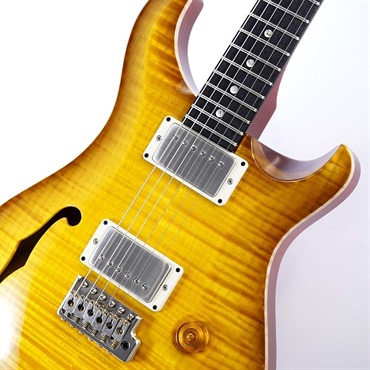 P.R.S. DGT Semi-Hollow Limited Edition (McCarty Sunburst) SN.0391097 【2024年生産品】 画像3