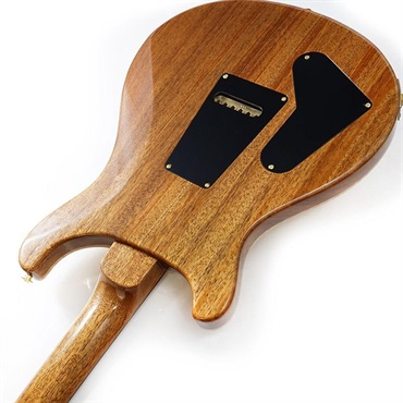 P.R.S. 【「THE IKEBE PRS VAULT」オープン記念キャンペーン】 2024 Special Semi-Hollow 10top (Santana Yellow) SN.0396733 【2024年生産品】 画像6