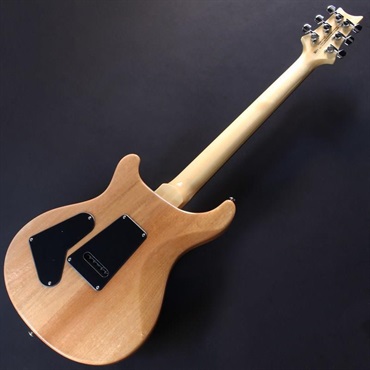 P.R.S. SE Custom 24 Burled Ash Limited Edition (Natural) #CTI G108923 【2024年生産品】 画像5