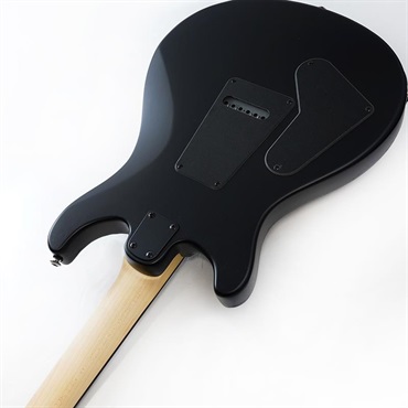 P.R.S. SE Swamp Ash CE 24 Sandblasted Limited Edition (Sandblasted Red) SN.CTIG035131 【2024年生産品】 画像6