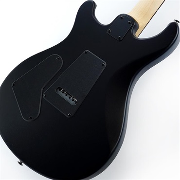 P.R.S. SE Swamp Ash CE 24 Sandblasted Limited Edition (Sandblasted Red) SN.CTIG035131 【2024年生産品】 画像7