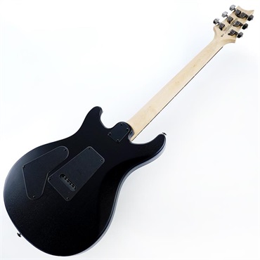 P.R.S. SE Swamp Ash CE 24 Sandblasted Limited Edition (Sandblasted Green) SN.CTIG034814 【2024年生産品】 画像2