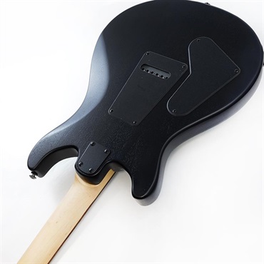 P.R.S. SE Swamp Ash CE 24 Sandblasted Limited Edition (Sandblasted Green) SN.CTIG034814 【2024年生産品】 画像6