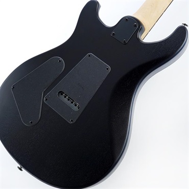 P.R.S. SE Swamp Ash CE 24 Sandblasted Limited Edition (Sandblasted Green) SN.CTIG034814 【2024年生産品】 画像7