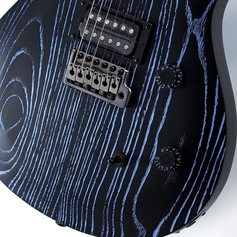 P.R.S. 【「THE IKEBE PRS VAULT」オープン記念キャンペーン】 SE