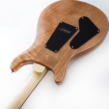 P.R.S. SE Custom 24 Burled Ash Limited Edition (Natural) SN.CTIG108669 【2024年生産品】 画像6
