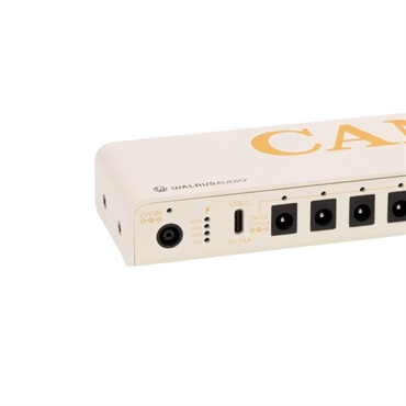 WALRUS AUDIO Canvas: Power 8 [Limited Canvas Harvest Series]【限定モデル】 画像3