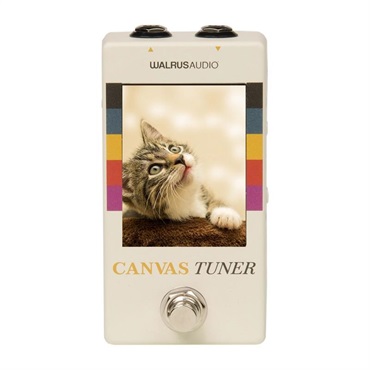 WALRUS AUDIO Canvas Tuner [Limited Canvas Harvest Series]【限定モデル】 画像5