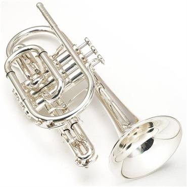 Besson ベッソン / BE928GT-2-0 【Bb コルネット】 【ロジャー・ウェブスター氏選定品】【出荷前調整で安心】 画像1