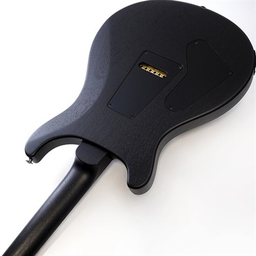 P.R.S. Standard 24 Satin (Black) 【Ikebe Order Color Model】 SN.0420046 2025年生産品 画像6
