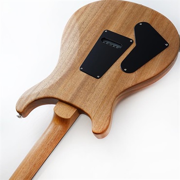 P.R.S. 【「THE IKEBE PRS VAULT」オープン記念キャンペーン】 S2 Special Semi-Hollow Reclaimed Limited (Natural)　SN.S2085704 2025年生産品 画像6