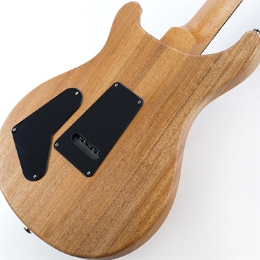 P.R.S. 【「THE IKEBE PRS VAULT」オープン記念キャンペーン】 S2 Special Semi-Hollow Reclaimed Limited (Natural)　SN.S2085704 2025年生産品 画像7