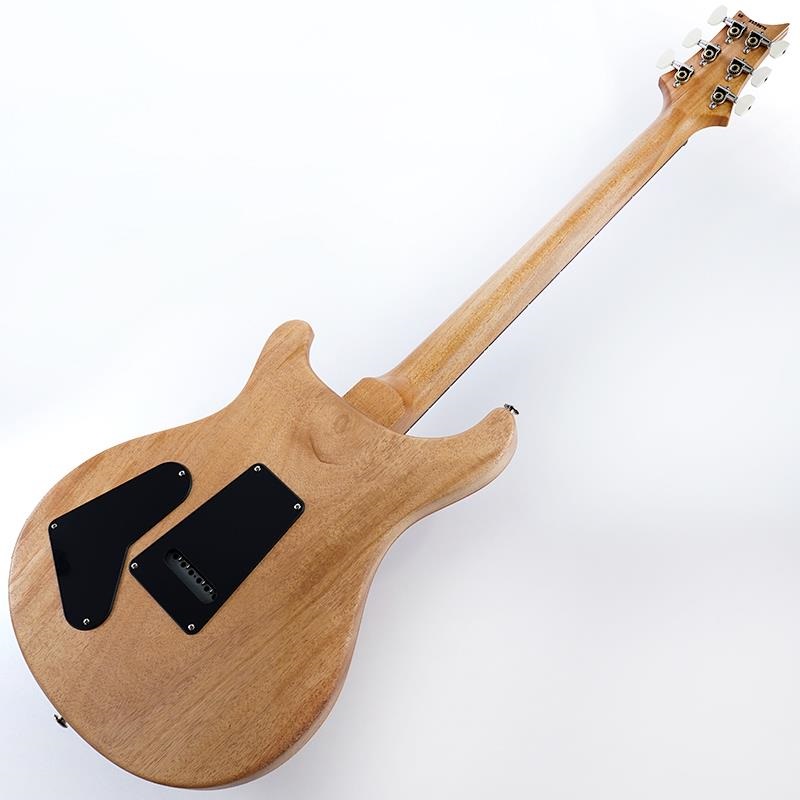 P.R.S. S2 Special Semi-Hollow Reclaimed Limited (Natural) SN