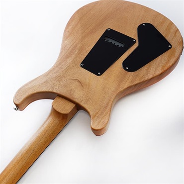 P.R.S. 【「THE IKEBE PRS VAULT」オープン記念キャンペーン】 S2 Special Semi-Hollow Reclaimed Limited (Natural)　SN.S2085711 2025年生産品 画像6