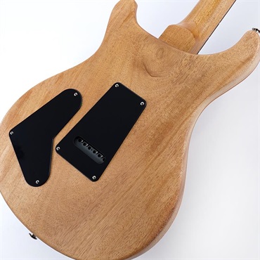 P.R.S. 【「THE IKEBE PRS VAULT」オープン記念キャンペーン】 S2 Special Semi-Hollow Reclaimed Limited (Natural)　SN.S2085711 2025年生産品 画像7