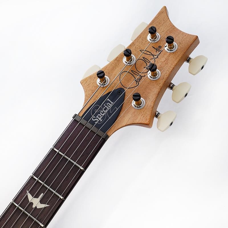 P.R.S. S2 Special Semi-Hollow Reclaimed Limited (Natural) SN