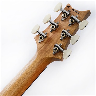 P.R.S. 【「THE IKEBE PRS VAULT」オープン記念キャンペーン】 S2 Special Semi-Hollow Reclaimed Limited (Natural)　SN.S2085711 2025年生産品 画像9