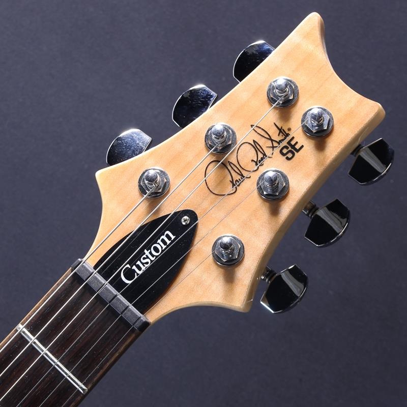 P.R.S. SE Custom 24 (Trampas Green) #CTI G01049【2024年生産品