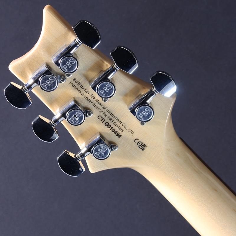 P.R.S. SE Custom 24 (Trampas Green) #CTI G01049【2024年生産品