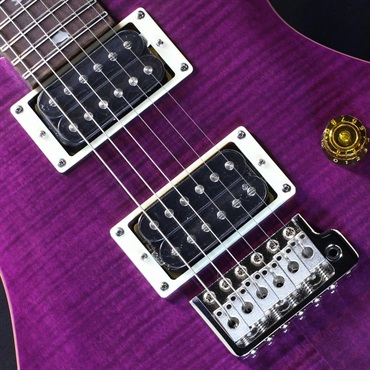 P.R.S. SE Custom 24 (Amethyst) #CTI G117146【2024年生産品